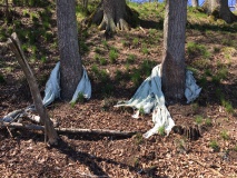 Leite_2021_04 -Verbissschutz Plastikfolie 03